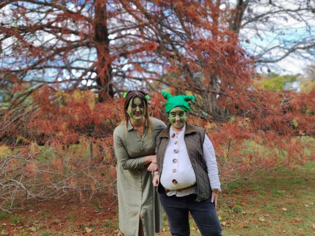 Shrek and Fiona